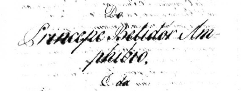 BELIDOR ANFÍBIO